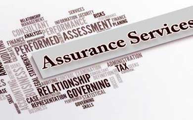 Assurance Services